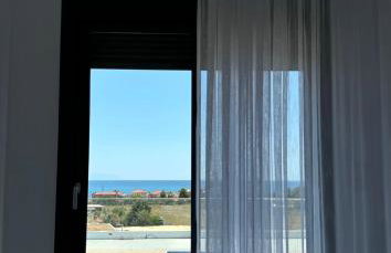 Suites Kombucha - Photo 8