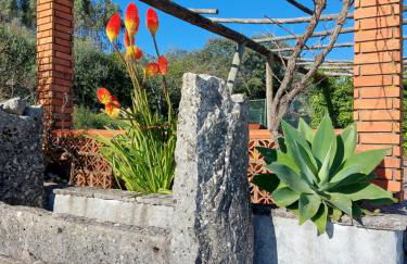 Chou da Covinha - Foto 17