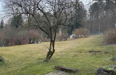 Naturnahe Ferienwohnung - Foto 25