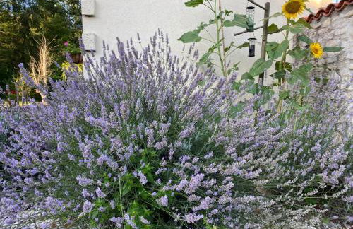 Gites Rue Du Chateau - Foto 48