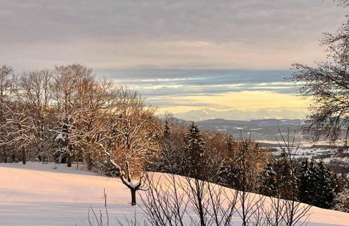 Alpenblick-Steineckhof - Foto 25