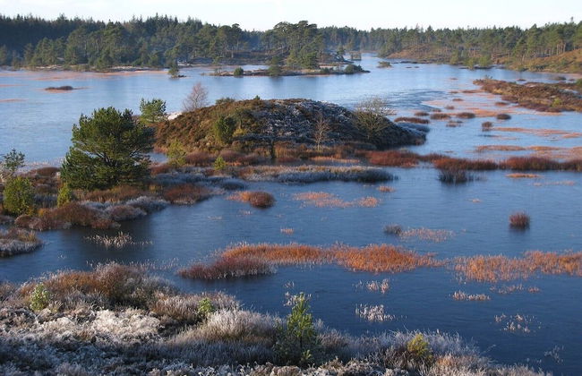 Family Apartment - Near Billund - Foto 23