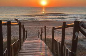 Oliva Sol Apartment - Photo 1