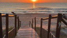 Oliva Sol Apartment - Photo 1