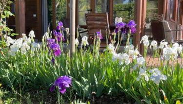 Chalet Mimosa - Foto 4