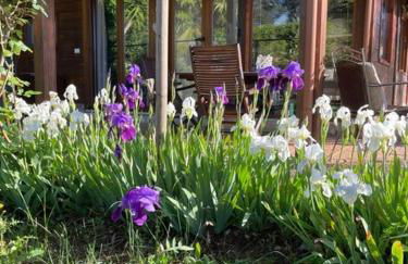 Chalet Mimosa - Foto 4