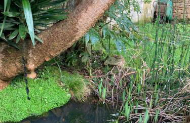 Charmante petite maison de pays à 200 m du Golfe - Foto 30