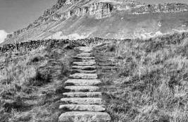 Sunset View one bedroom luxury cottage in an idyllic setting - Foto 43