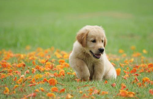 Roomy 2 bedroom 1 bath with private entrance, with fenced yard, and sports court - Foto 26