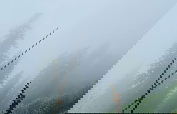 Cove The Glass House - Foto 35