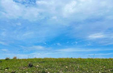 Casa da Alegria! Serra da Canastra! - Foto 34