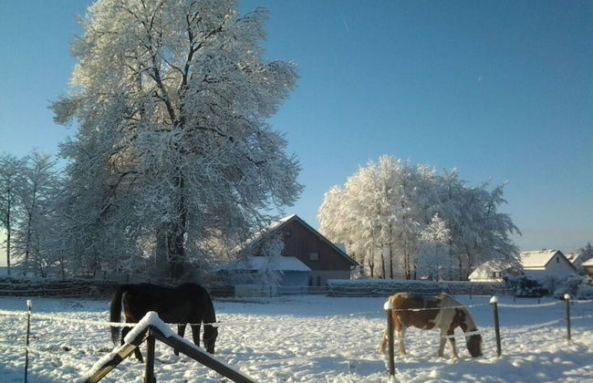 Holiday Home Altes Zollhaus No. 19 - Foto 7