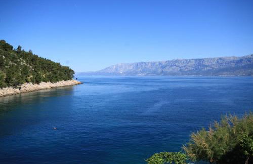 Apartments by the sea Cove Mala Pogorila, Hvar - 8953 - Foto 19