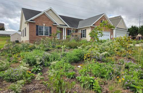 Garden Guest Cottage - Foto 9