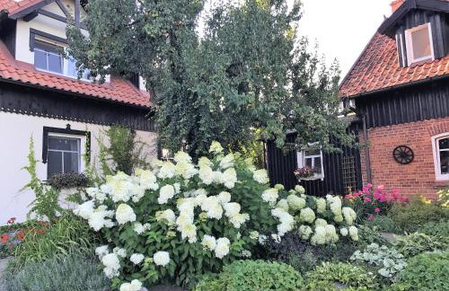 Andrzejówka - Photo 10