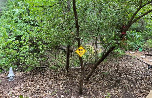 Hobbit Treehouse with waterfall on the Brazos River! 350 acres! Tubing! Petting zoo! - Foto 32