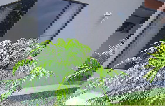 Villas Lux Arenal - Foto 13