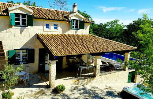 Villa Dvori Dida Mile - Foto 1