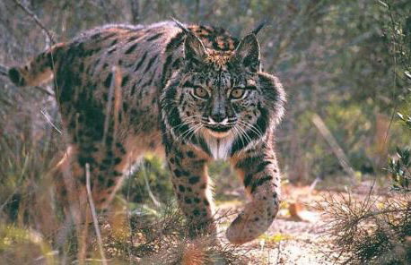 Villa Luz Deluxe - Foto 25