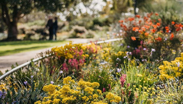 Tour por Perth e Fremantle - Foto 4