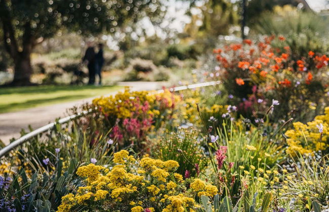 Tour por Perth e Fremantle - Foto 4