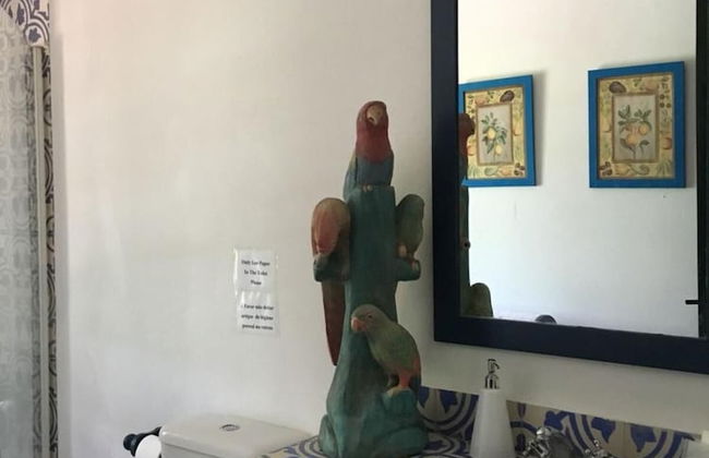 Moinho do Álamo - Foto 35