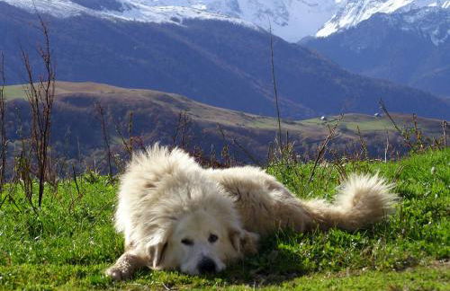 GITE GETEU - Foto 12