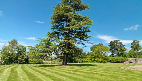 Newcourt Manor - Foto 5