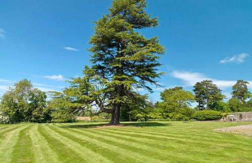 Newcourt Manor - Foto 5