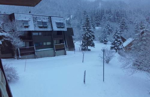 appartement avec balcon au Mont Dore - Foto 9