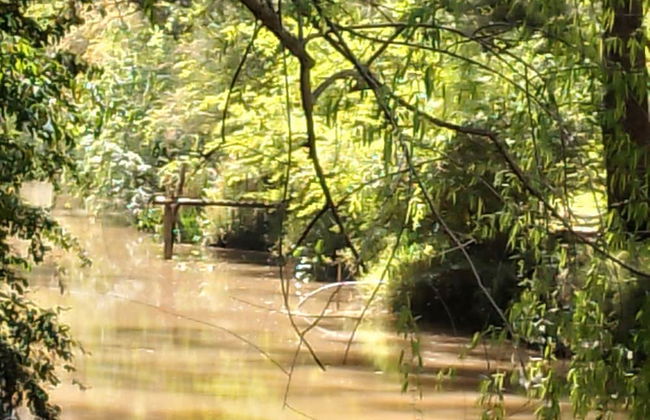 Cabaña del humedal - Foto 32