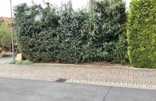 Fulda West Monteur Ferienwohnung wohnen auf Zeit - Foto 33