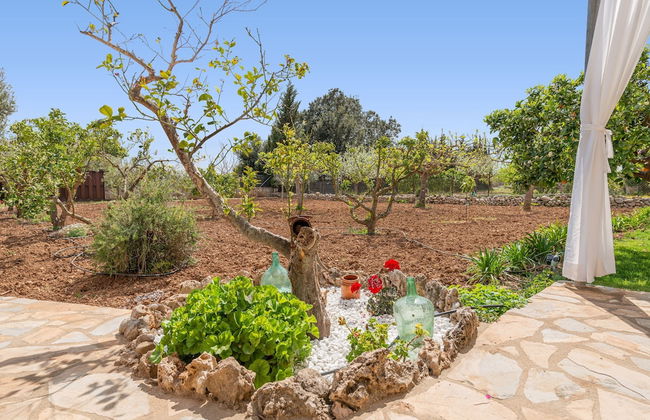 Sa Caseta B ger in Buger - Foto 34