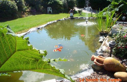 Ti Gwen charming cottage in Douarnenez Bay - Foto 20