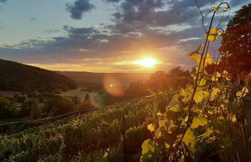 Vineyard-Suites Traumferienwohnung mit Panoramablick und Weinidylle - Foto 29