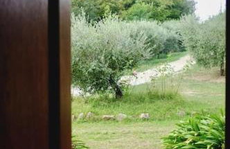 Villa Flavia - Foto 21