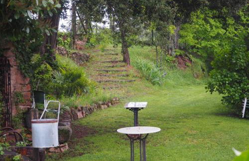 Mas Cal Sastre - Foto 62