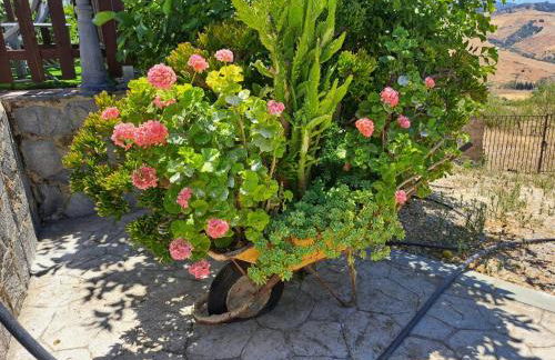 La casita encantada - Foto 32