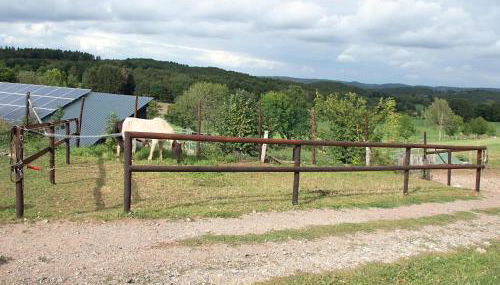 Ferienwohnung Roderath - Photo 5