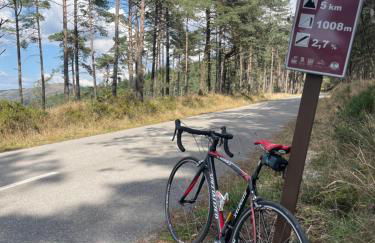 Quinta do Areal - Foto 62