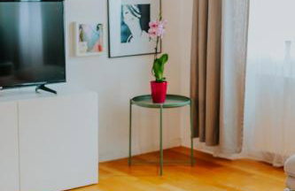 Endless Chanson - Foto 9