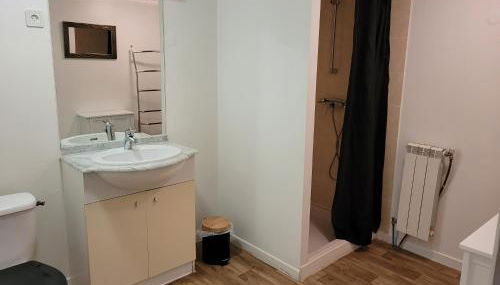 DOMAINE DE POULHARIES -Merlot - Foto 5