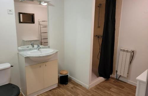 DOMAINE DE POULHARIES -Merlot - Foto 5