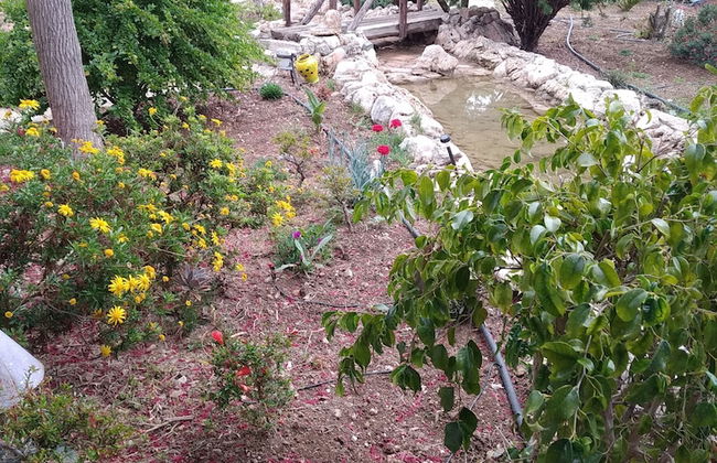 Cortijo Veracruz - Photo 59