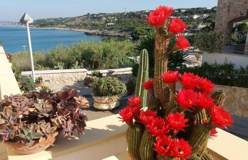 Appartamenti Baia Azzurra - Foto 16