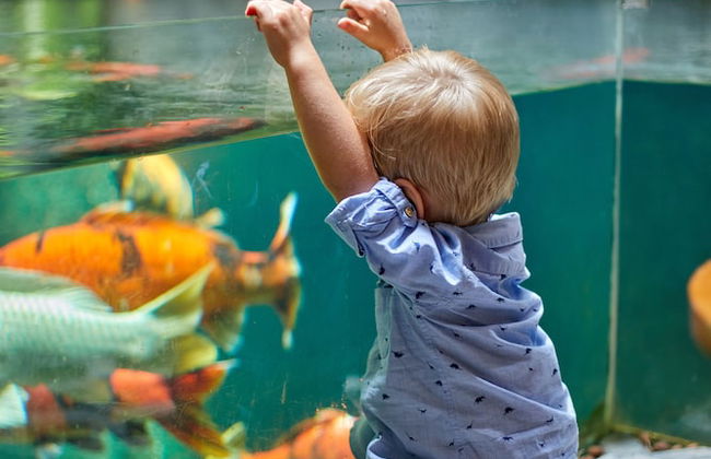 Vernalhome Boutique Danang Hotel - Foto 6