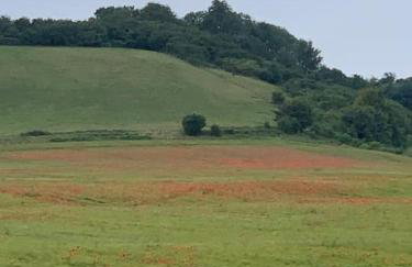 Romantic Shepherds hut with stunning sunsets - Photo 3