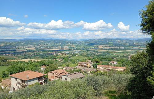 L'angolo delle More - Foto 35