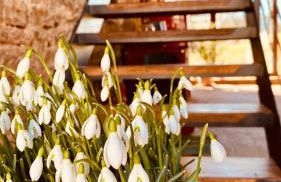 WegeLager - Photo 45