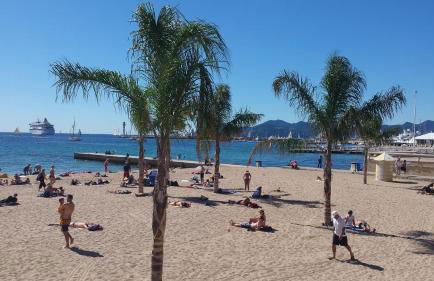 Central avec Jardin - Foto 24